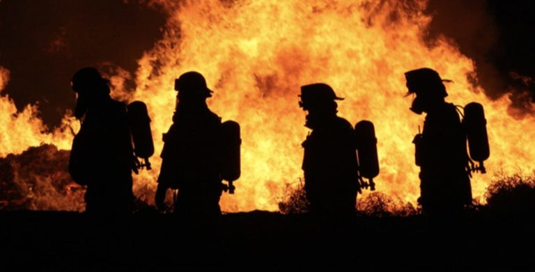 Fire Fighters walking through a forest fire