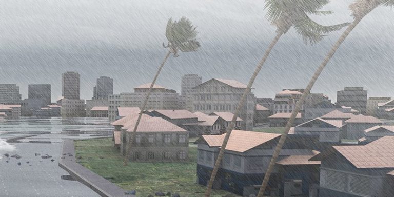 Hurricane scene with trees bending and a lot of rain